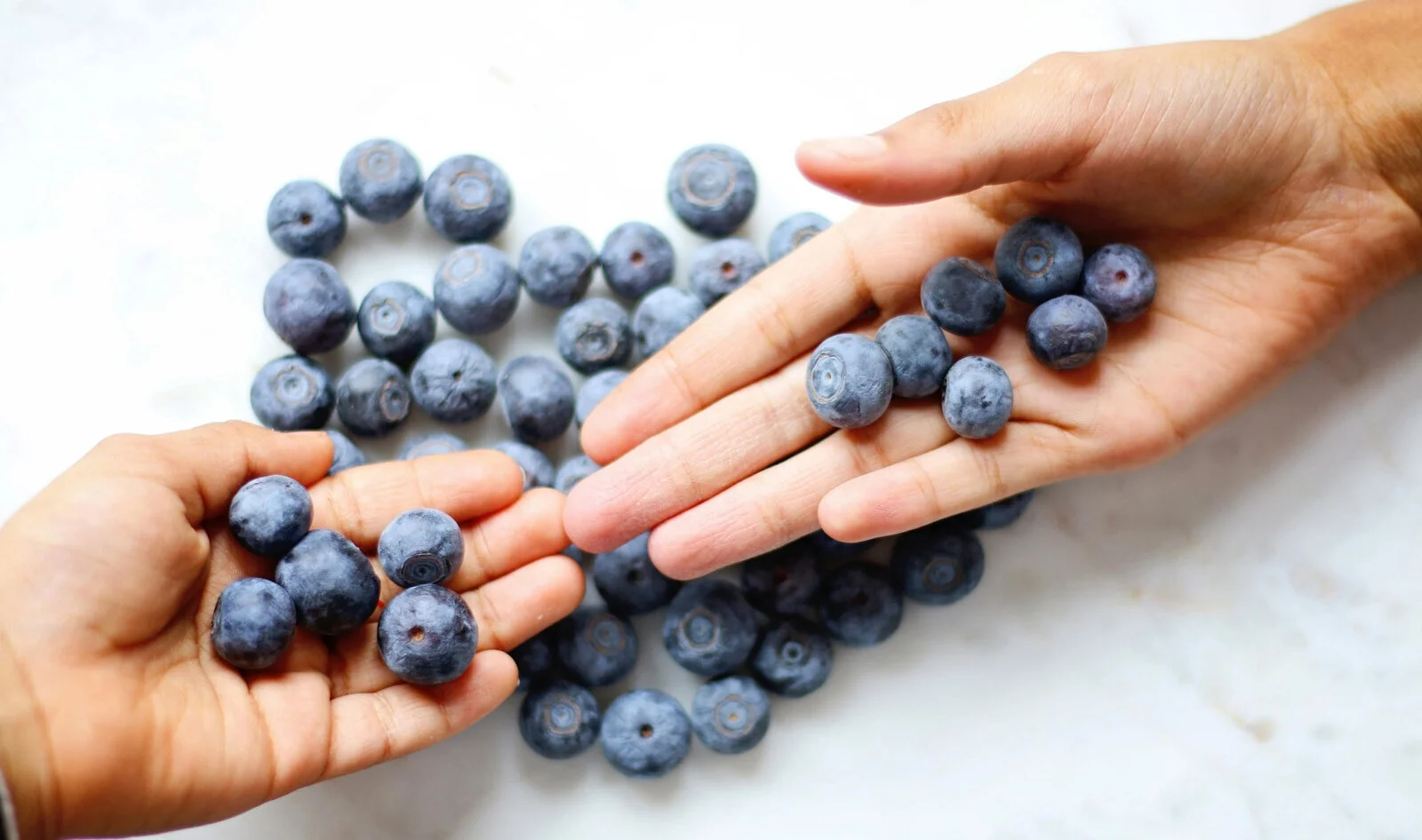 Enhancing Memory: Key Foods to Support Cognitive Function