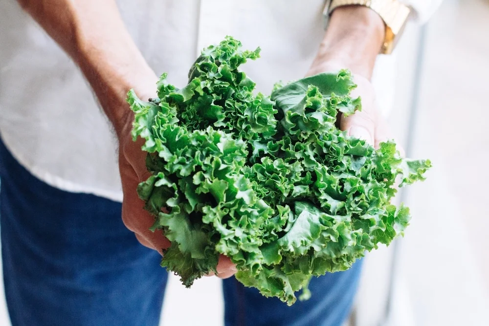 VegNews.springvegetableskale.Unsplash