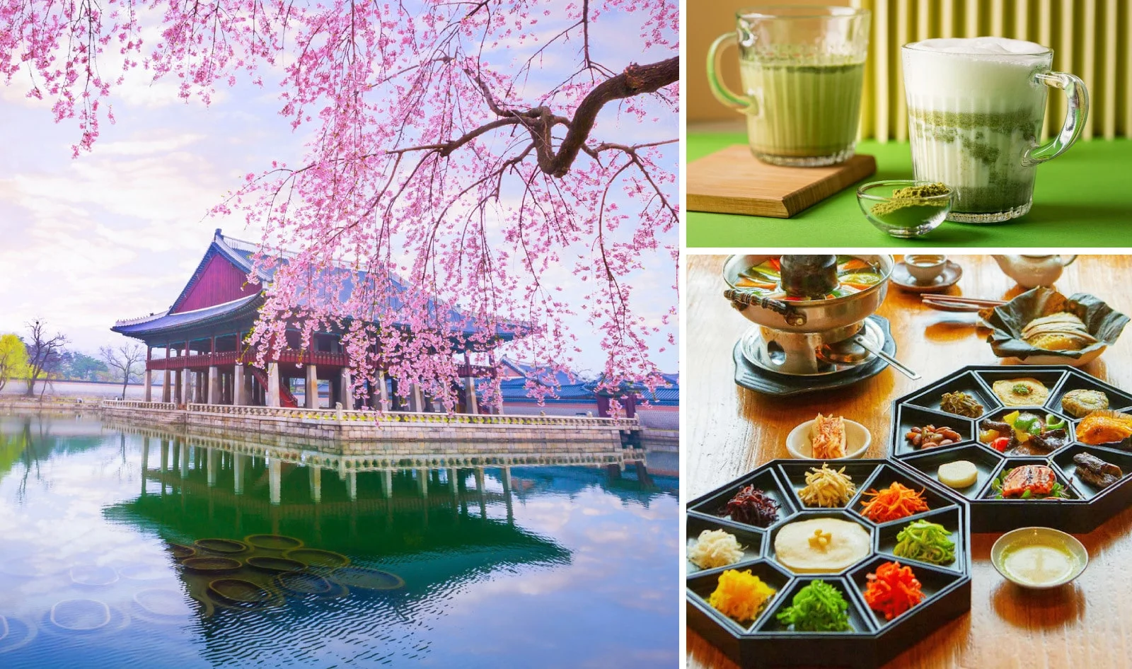 7 Unforgettable Days in South Korea: The Ultimate Vegan Travel Guide